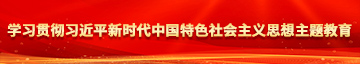 四Ⅲ操bb学习贯彻习近平新时代中国特色社会主义思想主题教育